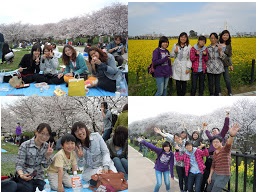 Yono_02ohanami