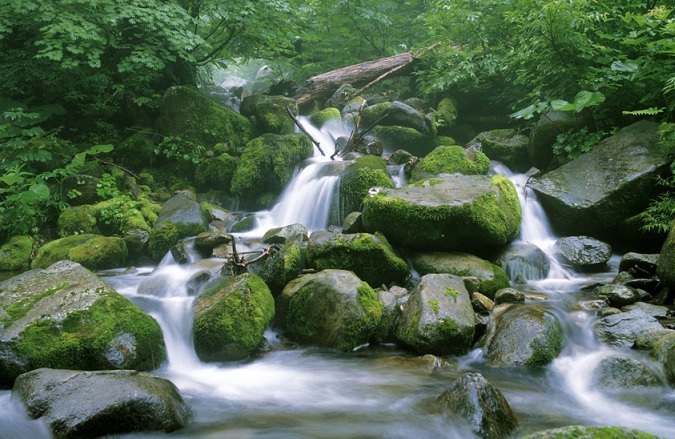 Good To Go Insurance >> Relax thanks to Shinrin-Yoku | Motivist Japan Good To Go Insurance >> Relax thanks to Shinrin-Yoku | Motivist Japan